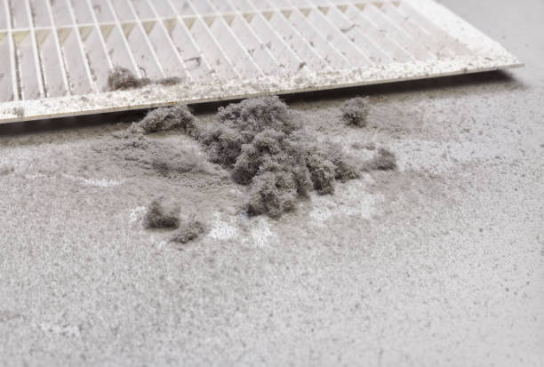 Best Local Air Duct Cleaning Services  in Ives Estates, FL