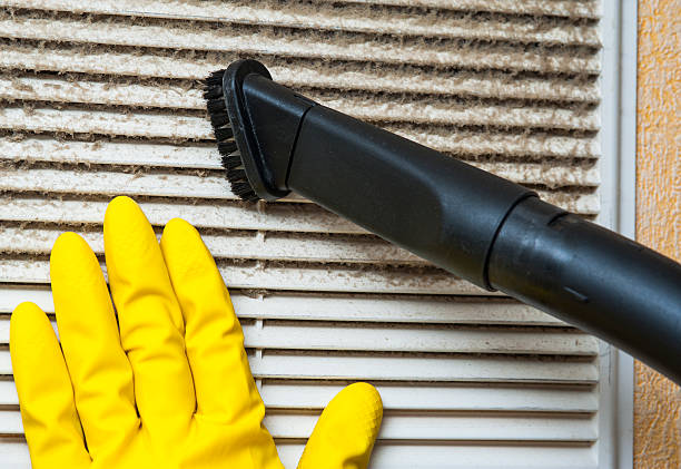 Best Air Duct Cleaning Near Me  in Ives Estates, FL